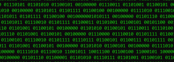 Wyrazy zapisane w kodzie binarnym